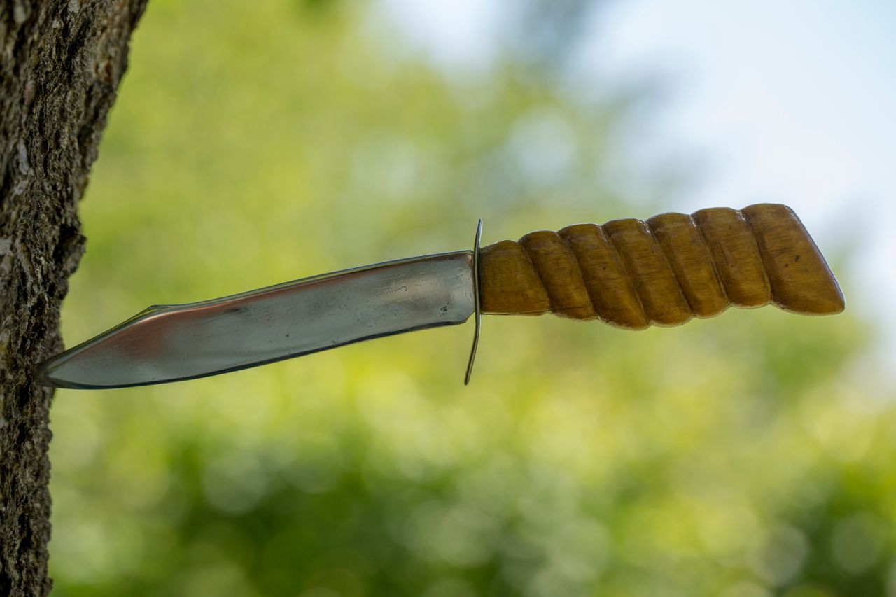 Crafting Captivating Headlines: Your awesome post title goes here Close-up of a knife with wooden handle embedded in a tree trunk in a sunny outdoor setting.